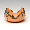Lizard, Tadpole & Dragonfly Pottery Bowl