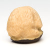Tagua Nut Bear