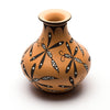 Dance Of The Dragonfly Pottery