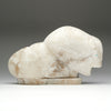 Strength In Repose Bison