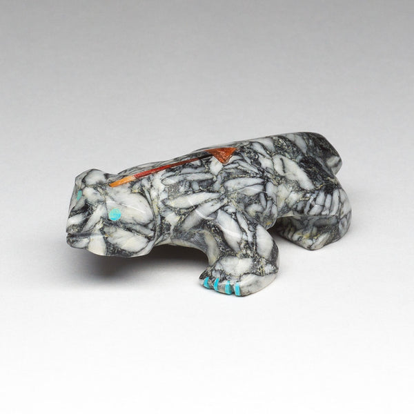 Healing Badger