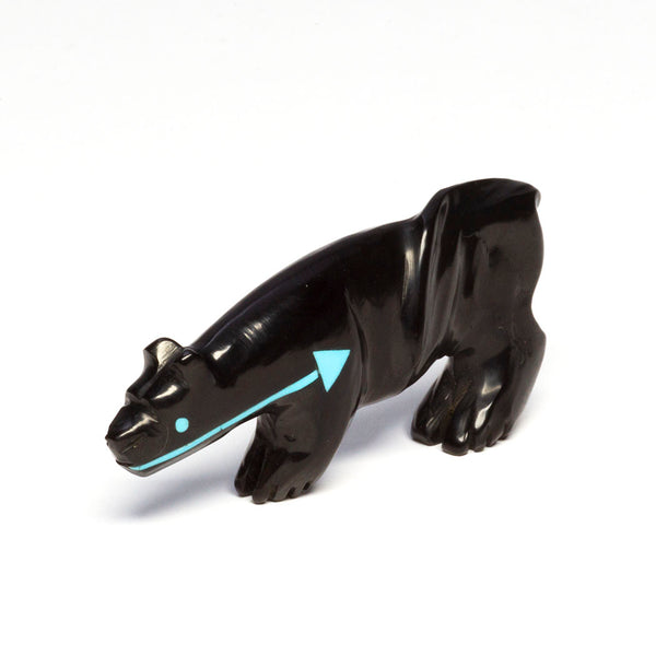Solitary Jaguar