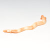 Cameo Conch Shell Snake