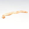 Cameo Conch Shell Snake