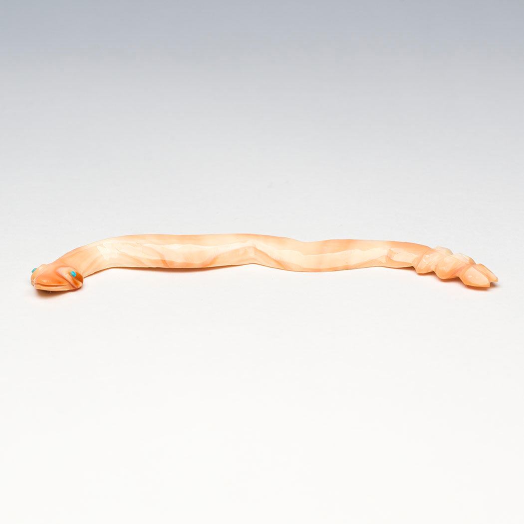Cameo Conch Shell Snake