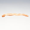 Cameo Conch Shell Snake