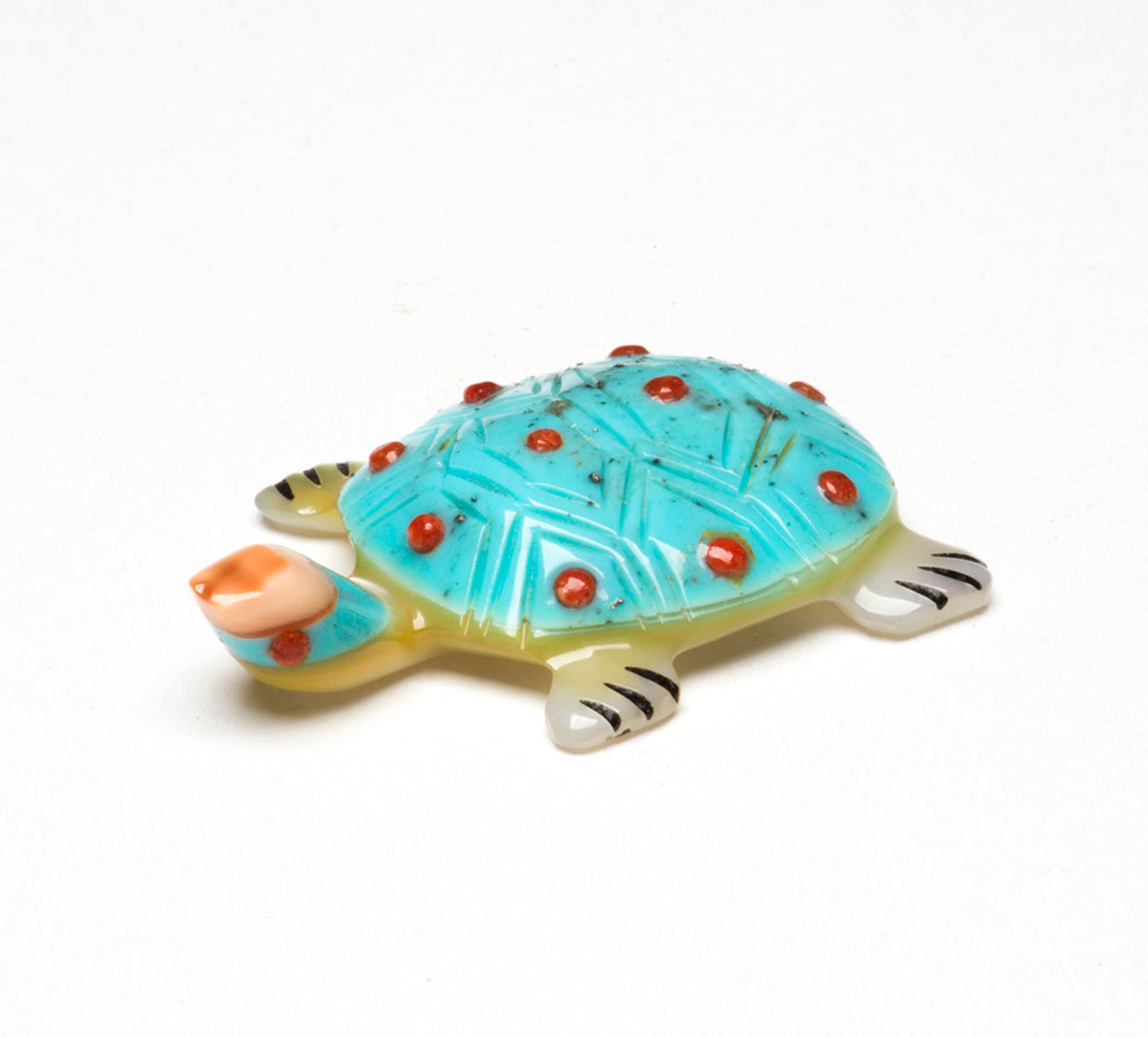 Going Places Turtle