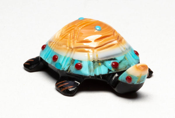 Natural Rhythms Turtle