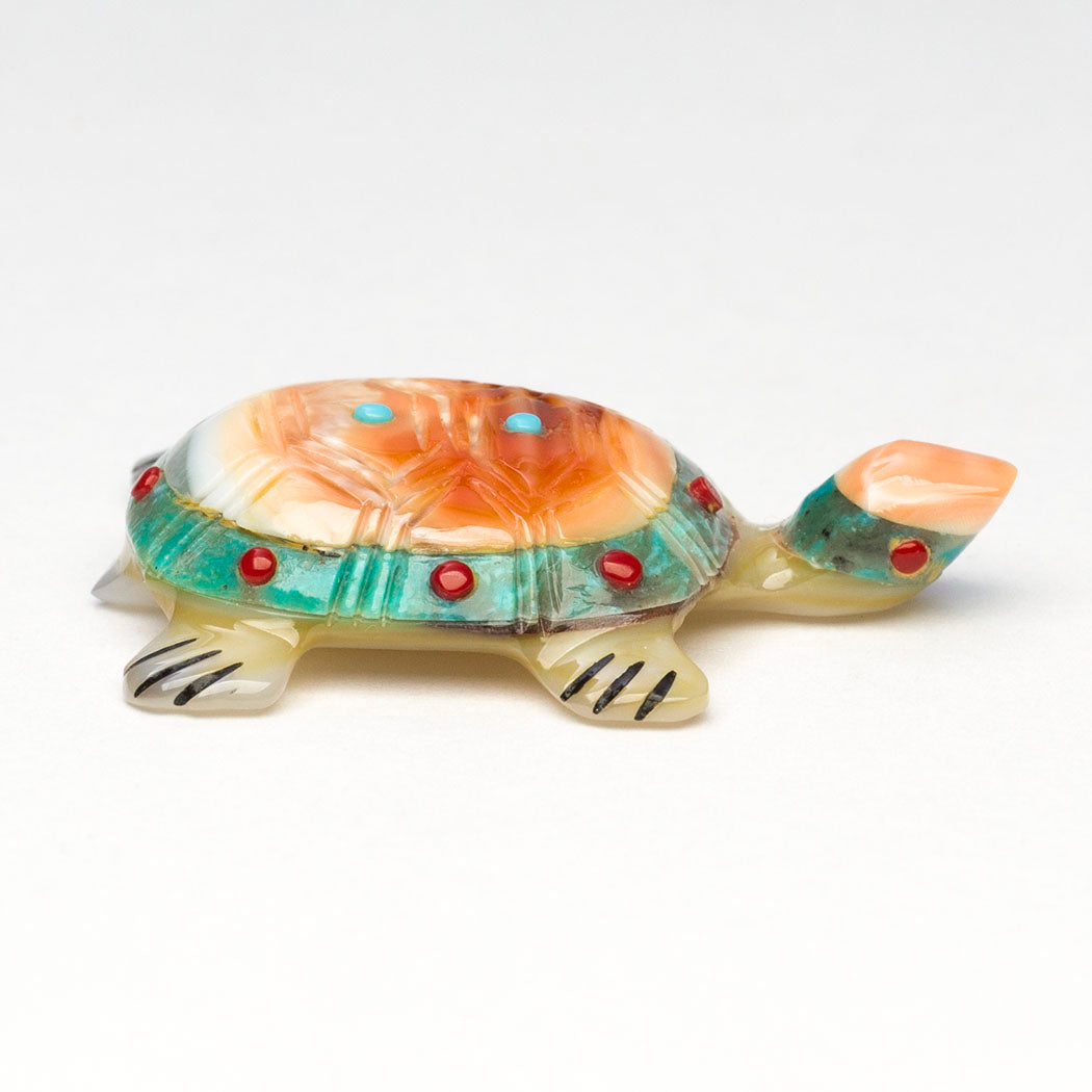 Touche's Turtle Story