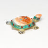 Touche's Turtle Story