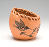 Hummingbird Micaceous Pottery