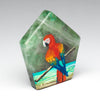 "The Caribbean Macaw"