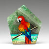 "The Caribbean Macaw"