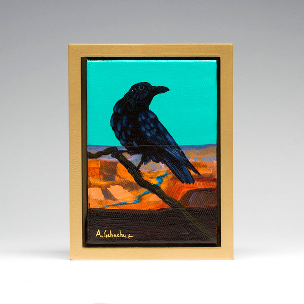 "Curious Raven"