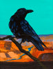 "Curious Raven"