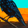 "Hometown Raven"