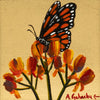 "Spring Time Beauty"