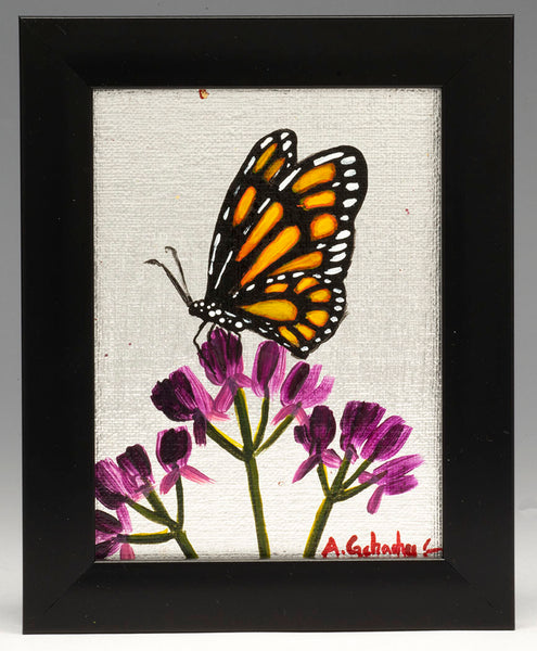 "Spring Time Transformation"