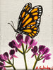 "Spring Time Transformation"