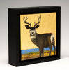 "Zuni Mule Deer"