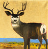 "Zuni Mule Deer"