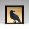 "The Inquisitive Raven"