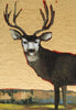 "Zuni Mule Deer"