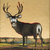 "Zuni Mule Deer"