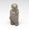 Observant Owlet