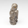 Observant Owlet
