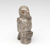 Observant Owlet