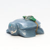 Aquatic Turtle