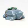 Aquatic Turtle