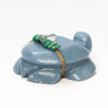 Aquatic Turtle