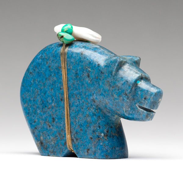 Foraging Medicine Bear