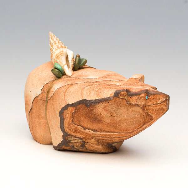 Conch Shell Coastline Bear