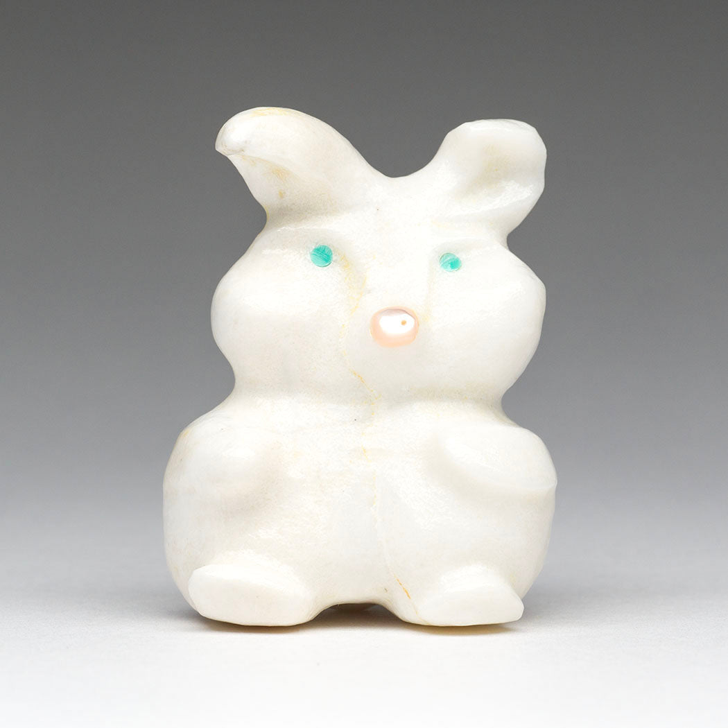 Dew-Kissed Bunny