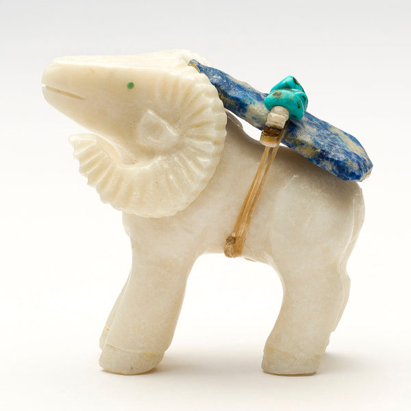 Confident Bighorn Sheep