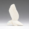White Raven Messenger