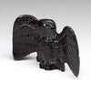 Unveiling Raven