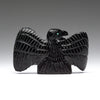Unveiling Raven