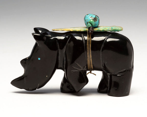 Rhinoceros Wonder