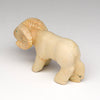 Annuli Rings Ram