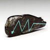 Rise To Life Orthoceras Bear