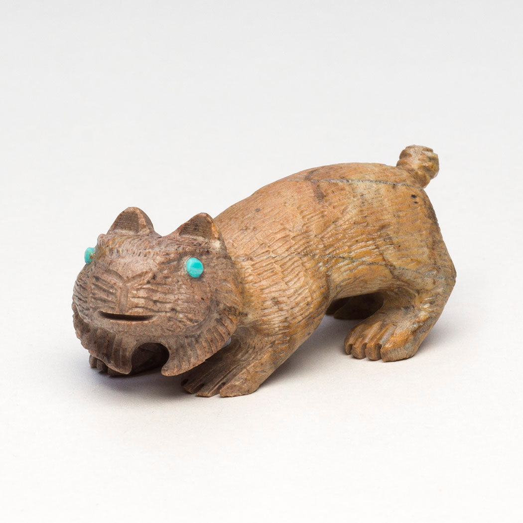 Beloved Bobcat Kitten