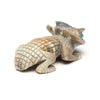 Precious Baby Horned Lizard