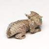 Little Horned Lizard