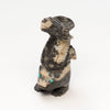 Zebra Stone Stinker