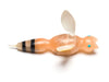 Solitary Wasp