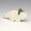 Wonderful Triceratops